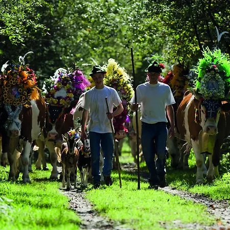 Mari Pop Ried im Zillertal